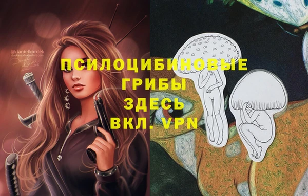 дживик Богородск