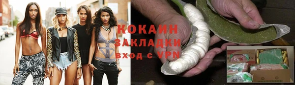 стафф Богданович