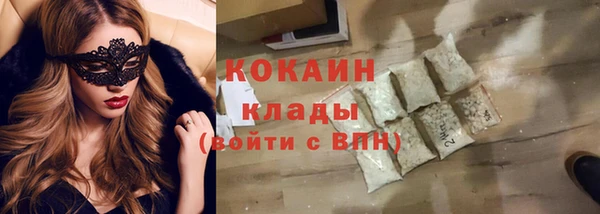 стафф Богданович