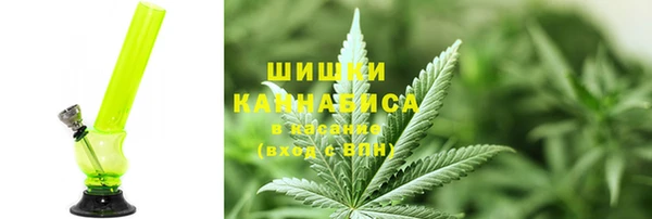 дживик Богородск