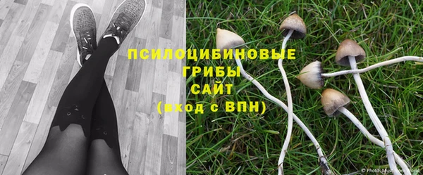 MDMA Premium VHQ Богородицк