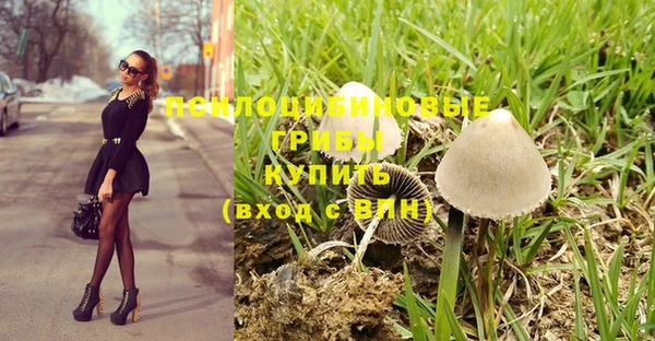 MDMA Premium VHQ Богородицк