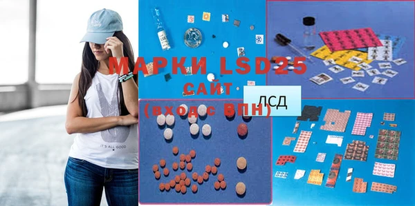 стафф Богданович