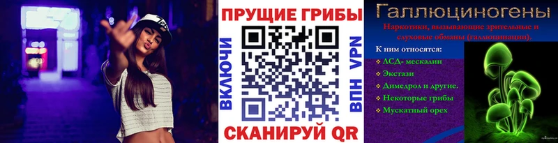 Галлюциногенные грибы ЛСД  мега ССЫЛКА  Тамбов 